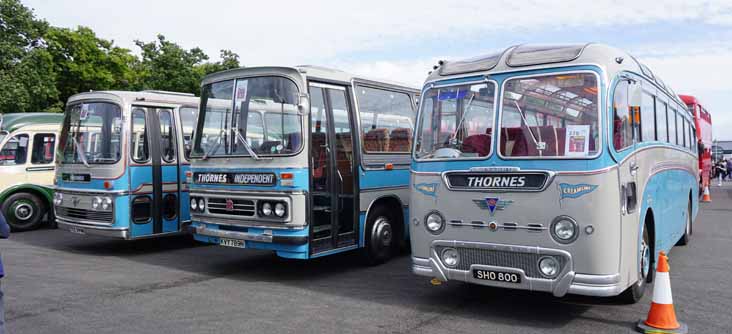 Thornes at Showbus 2016 AEC Reliance Plaxton TEC599N